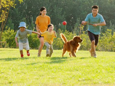 Dört kişilik mutlu bir aile ve parkta oynayan evcil bir köpek