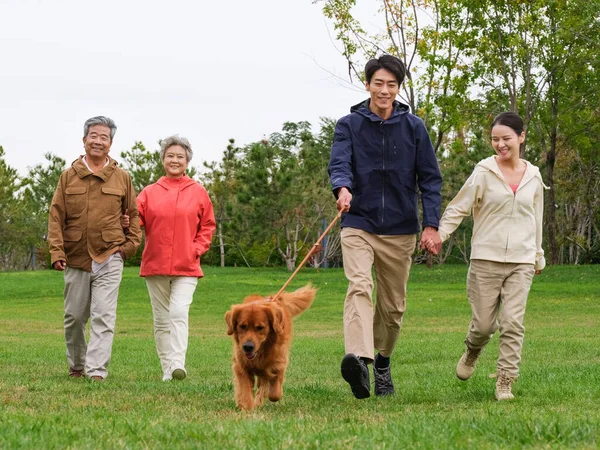 Família feliz de quatro e cão de estimação andando no parque — Fotografia de Stock