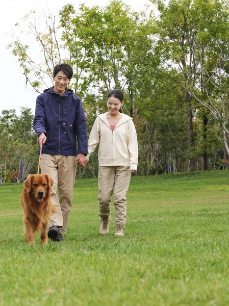 Щасливі молоді коханці гуляють собаками в парку — стокове фото