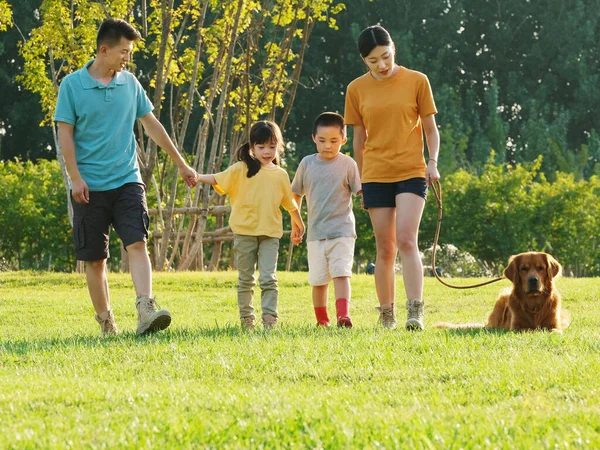 Ευτυχισμένη οικογένεια τεσσάρων σκύλων που περπατούν στο πάρκο — Φωτογραφία Αρχείου