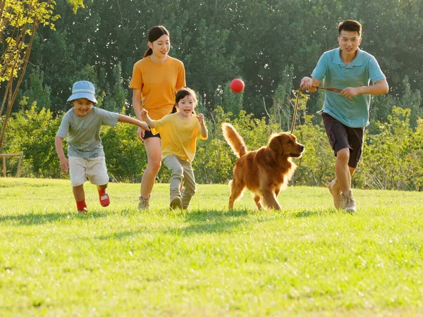 Familia feliz de cuatro y perro mascota jugando en el parque — Foto de Stock
