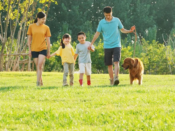 Familia feliz de cuatro perros paseantes en el parque — Foto de Stock