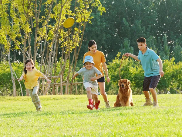 Szczęśliwa rodzina czworga i pies zabawy w parku — Zdjęcie stockowe