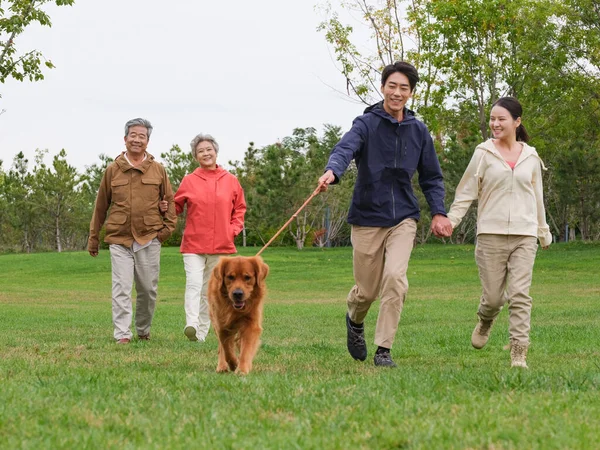 Щаслива сім'я з чотирьох собак і домашніх тварин, що гуляють в парку — стокове фото