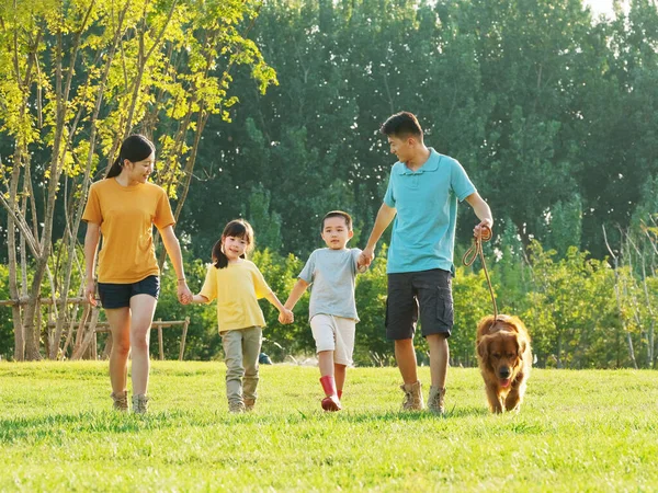 Familia feliz de cuatro perros paseantes en el parque —  Fotos de Stock