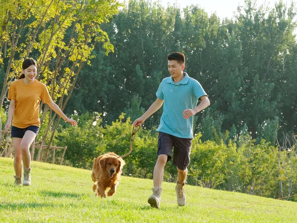 Молоді коханці і домашні собаки грають у парку — стокове фото