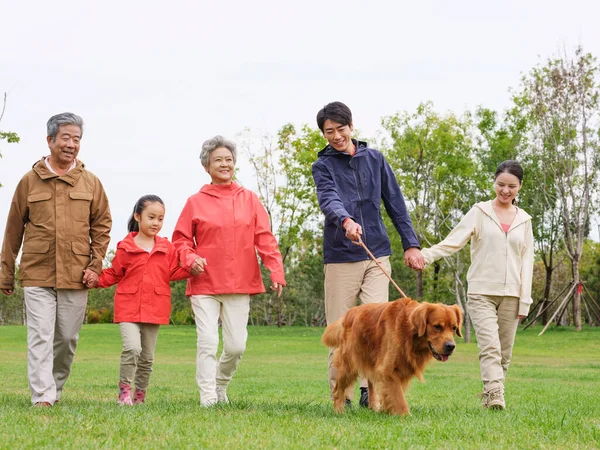 Famiglia felice di cinque e pet dog che cammina nel parco — Foto Stock