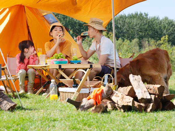 Família feliz de três e cão de estimação tem um piquenique ao ar livre — Fotografia de Stock