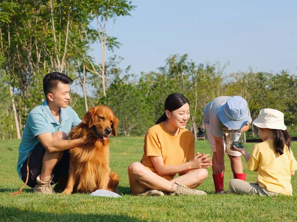 Щаслива сім'я з чотирьох собак і домашніх тварин грають у парку — стокове фото