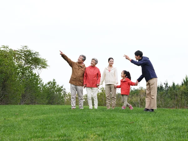 Happy family of five looking at the scenery in the park