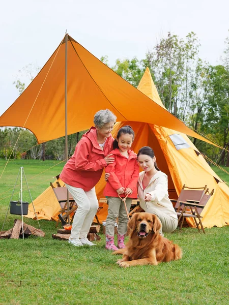 Boldog nagyszülők és unokák, hogy egy csoportkép a kisállat kutya a szabadban — Stock Fotó