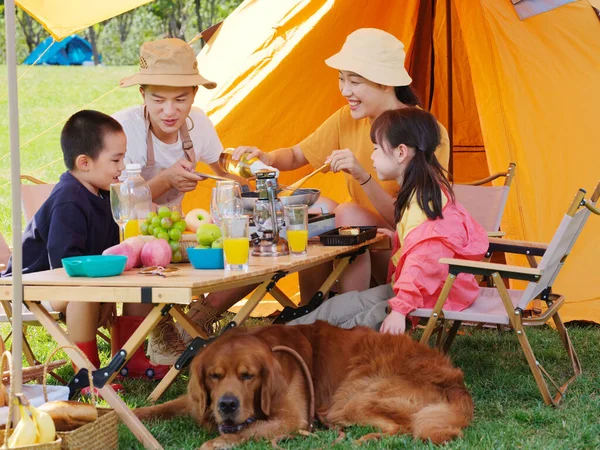 快乐的四口之家和宠物狗在户外野餐 — 图库照片