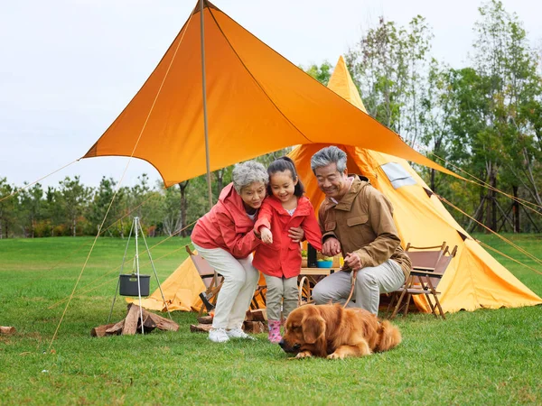 I nonni e i nipoti felici scattano una foto di gruppo con il loro cane all'aperto — Foto Stock