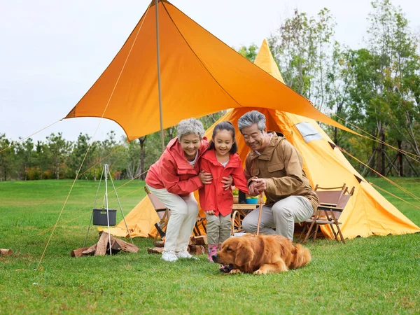 快乐的祖父母和孙子孙女们和他们的宠物狗在户外合影 — 图库照片