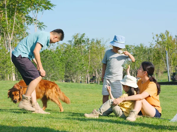 Família feliz de quatro e cão de estimação brincando no parque — Fotografia de Stock