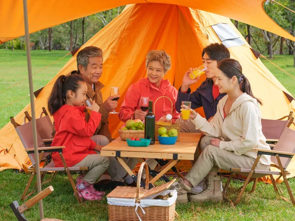Una famiglia felice di cinque persone che fa un picnic all'aperto — Foto Stock