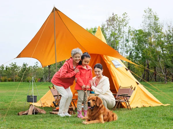 Šťastní prarodiče a vnoučata pořídit skupinovou fotku se svým domácím psem venku — Stock fotografie