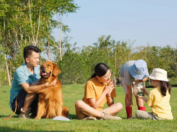 Joyeux famille de quatre et chien de compagnie jouant dans le parc — Photo