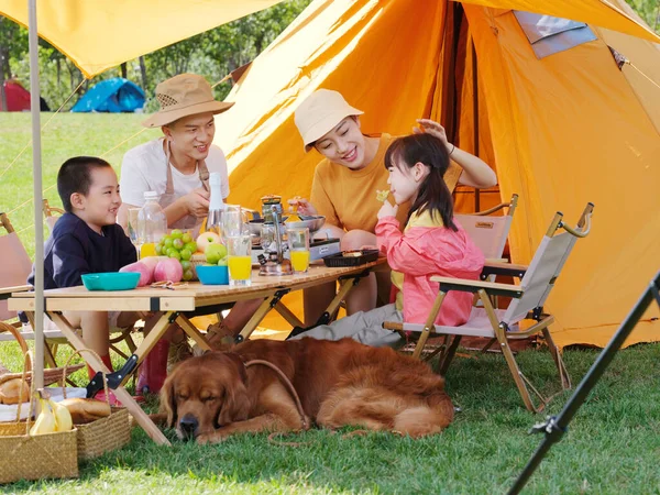 Dört kişilik mutlu bir aile ve evcil köpek dışarıda piknik yapıyor. — Stok fotoğraf