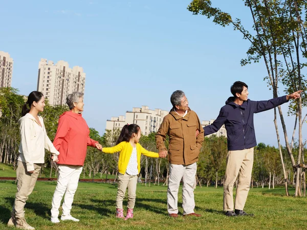 Família feliz de cinco olhando para a paisagem no parque — Fotografia de Stock