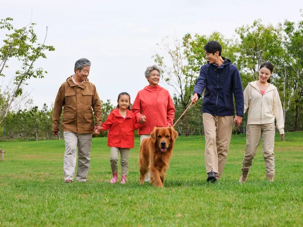 Šťastná rodina pěti a mazlíček pes procházky v parku — Stock fotografie