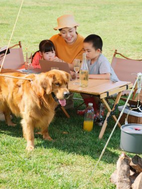 Üç kişilik mutlu bir aile ve dışarıda dizüstü bilgisayar kullanan evcil bir köpek.