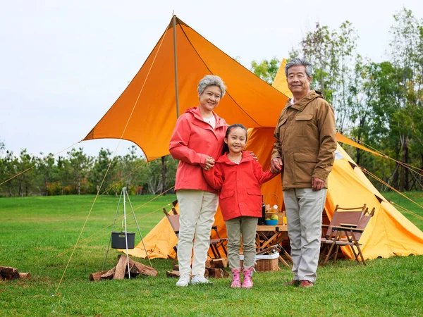 Abuelos y nietos felices toman una foto de grupo al aire libre —  Fotos de Stock