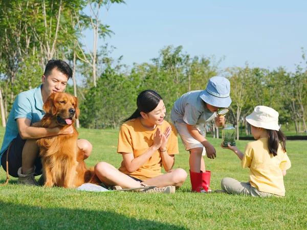 Ευτυχισμένη οικογένεια των τεσσάρων και κατοικίδιο ζώο σκυλί παίζει στο πάρκο — Φωτογραφία Αρχείου