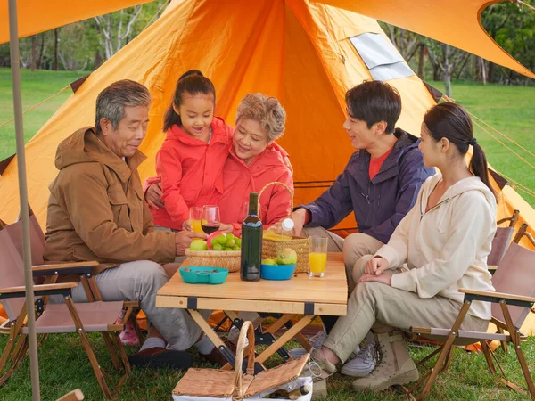 Une famille heureuse de cinq personnes qui pique-nique à l'extérieur — Photo