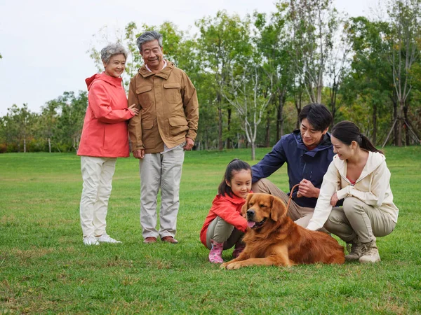 Família feliz de cinco e cão de estimação brincando no parque — Fotografia de Stock