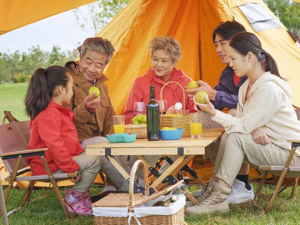 Una famiglia felice di cinque persone che fa un picnic all'aperto — Foto Stock