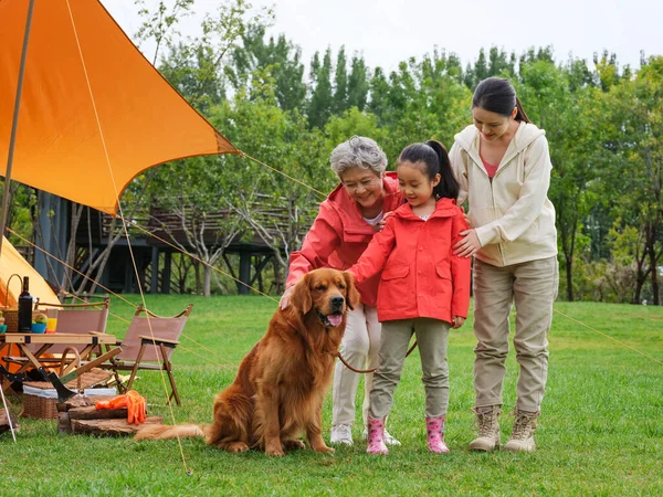 Heureux grands-parents et petits-enfants jouent avec leur chien de compagnie dans le parc — Photo