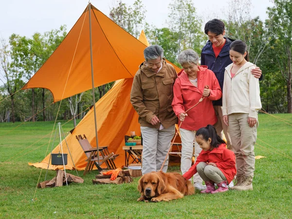 Felice famiglia di cinque e cane da compagnia in foto all'aperto — Foto Stock