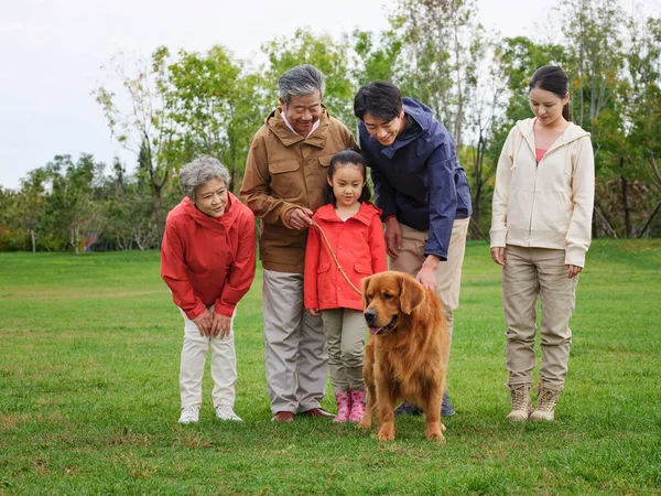 Joyeux famille de cinq et chien de compagnie dans le parc — Photo