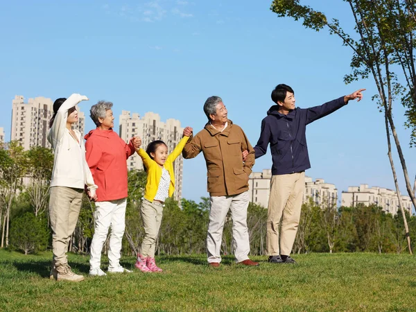 Famiglia felice di cinque persone che guardano il paesaggio nel parco — Foto Stock