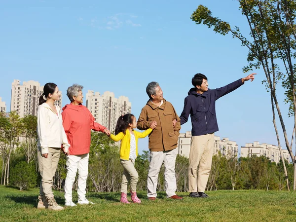 Mutlu beş kişilik aile parkın manzarasına bakıyor. — Stok fotoğraf