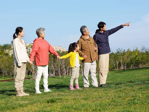 Mutlu beş kişilik aile parkın manzarasına bakıyor. — Stok fotoğraf