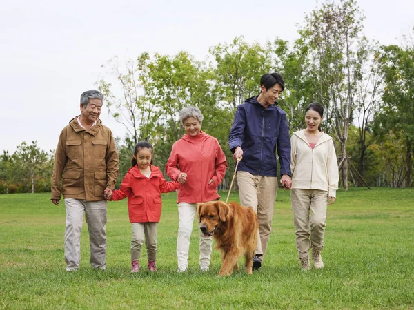 Família feliz de cinco e cão de estimação andando no parque — Fotografia de Stock