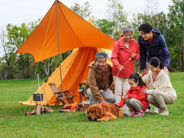 Ευτυχισμένη οικογένεια πέντε ατόμων και σκυλάκι σε υπαίθρια φωτογραφία — Φωτογραφία Αρχείου