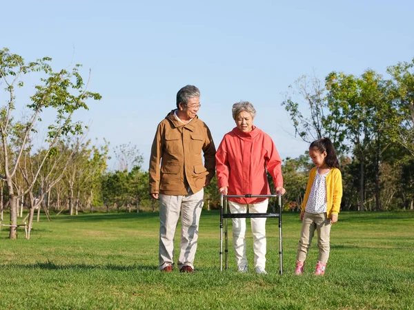 Bunici și nepoți fericiți mergând în parc — Fotografie, imagine de stoc