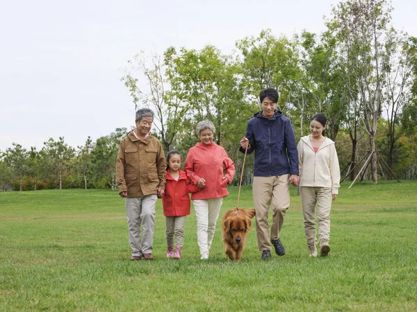 快乐的五口之家和在公园散步的宠物狗 — 图库照片