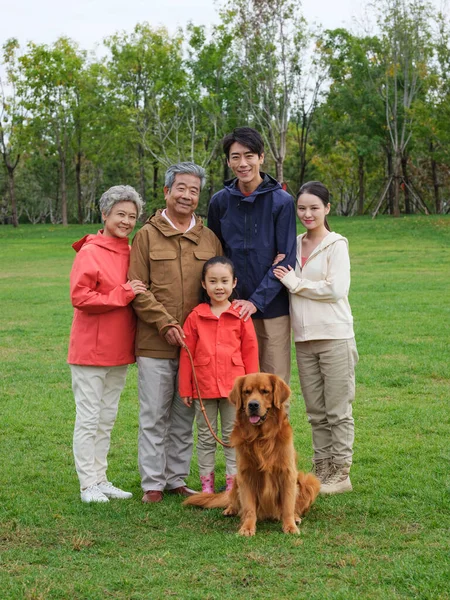 Щаслива сім'я з п'яти собак і домашніх тварин в парку — стокове фото