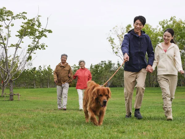 Щаслива сім'я з чотирьох собак і домашніх тварин, що гуляють в парку — стокове фото