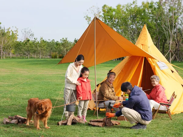 快乐的五口之家和宠物狗在户外野餐 — 图库照片