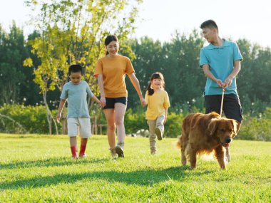 Happy family of four walking dogs in the park clipart