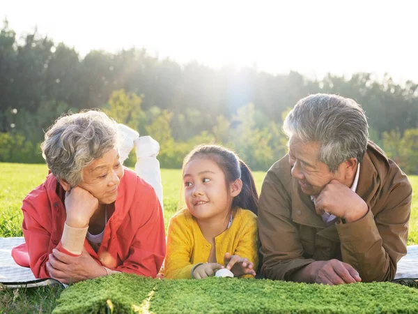 Avós e netos felizes tiram uma foto de grupo no parque — Fotografia de Stock