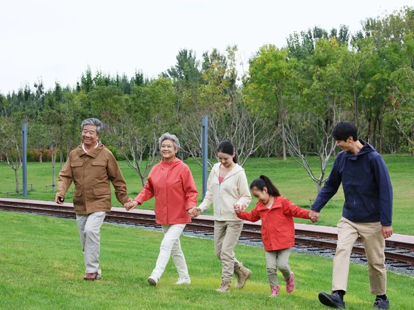 一个由五个人组成的快乐家庭在户外散步 — 图库照片