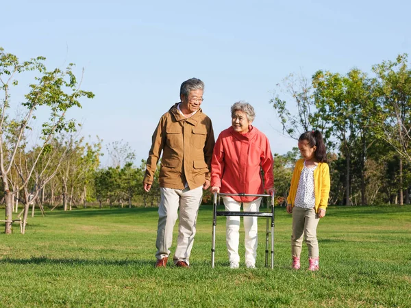 Щасливі бабусі і дідусі, що гуляють в парку — стокове фото