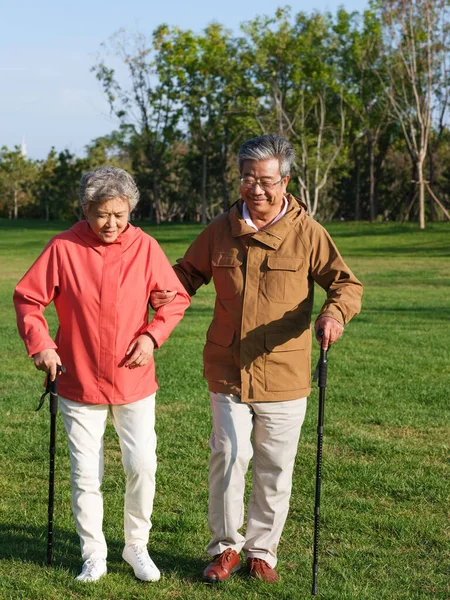 Gelukkig oud koppel wandelen in het park — Stockfoto