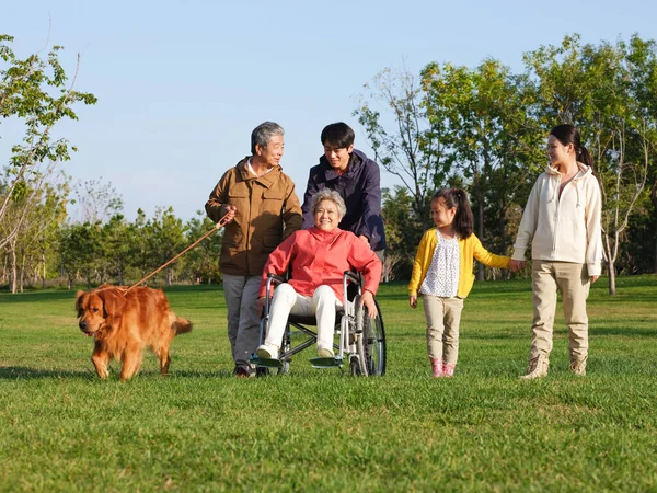 Família feliz de cinco e cão de estimação andando no parque — Fotografia de Stock